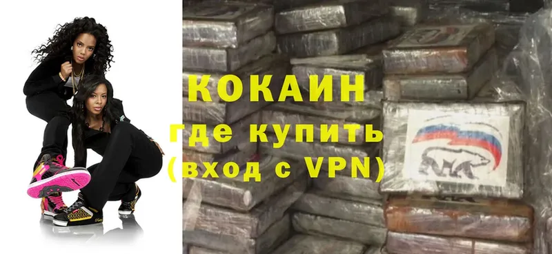 где можно купить   Лабытнанги  Cocaine Fish Scale 